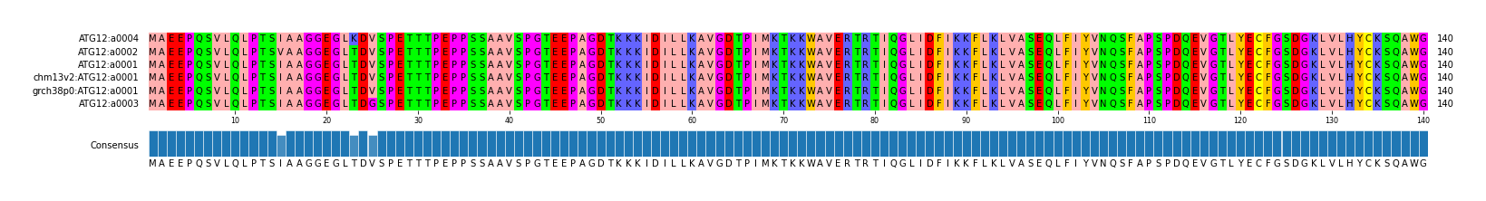 Multiple Alignments (by translate haplotype similarity)
