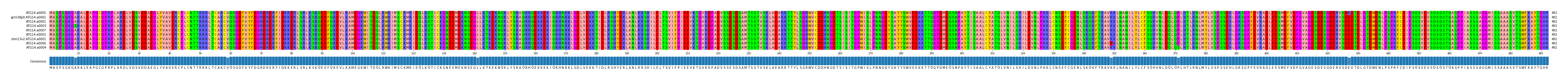 Multiple Alignments (by translate haplotype similarity)