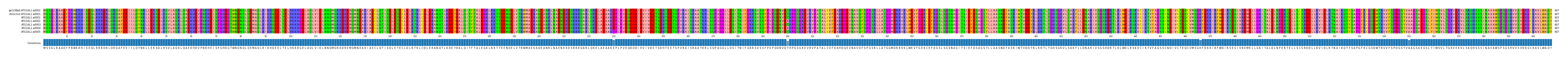 Multiple Alignments (by translate haplotype frequency)