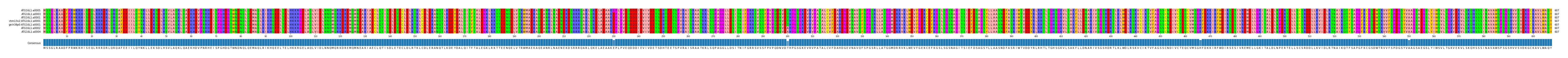 Multiple Alignments (by translate haplotype similarity)