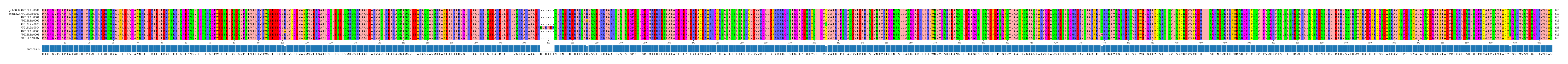 Multiple Alignments (by translate haplotype frequency)