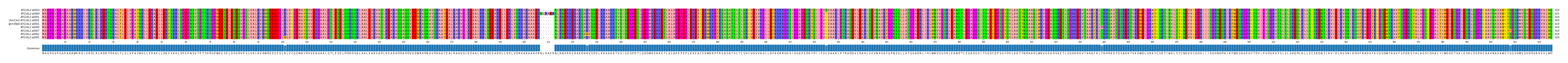 Multiple Alignments (by translate haplotype similarity)