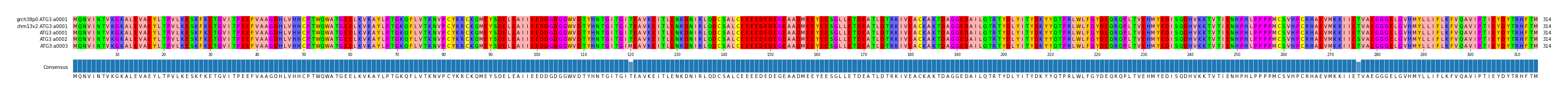 Multiple Alignments (by translate haplotype frequency)