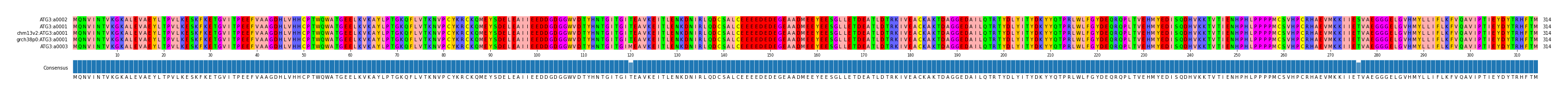 Multiple Alignments (by translate haplotype similarity)