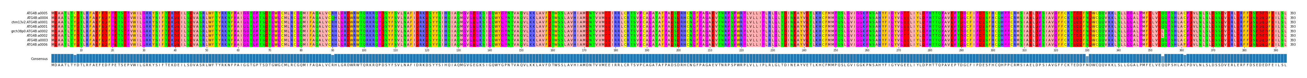 Multiple Alignments (by translate haplotype similarity)