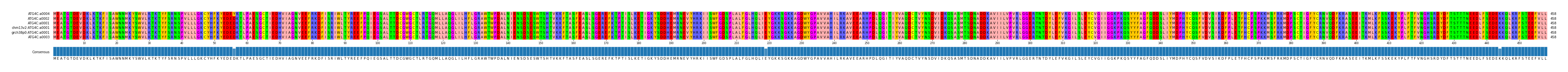 Multiple Alignments (by translate haplotype similarity)