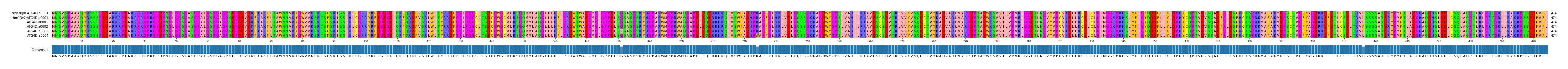 Multiple Alignments (by translate haplotype frequency)