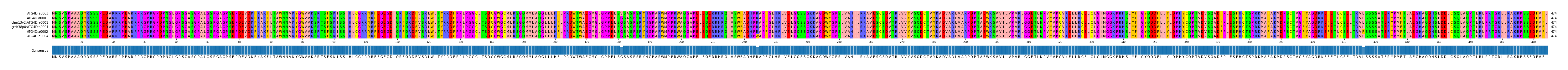 Multiple Alignments (by translate haplotype similarity)