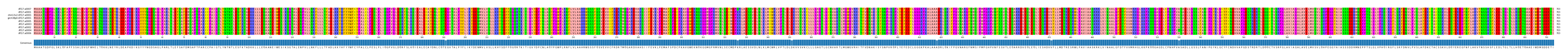 Multiple Alignments (by translate haplotype similarity)