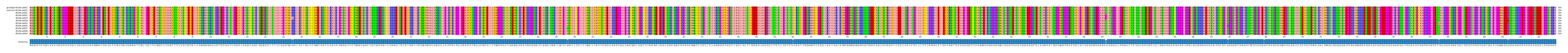 Multiple Alignments (by translate haplotype frequency)