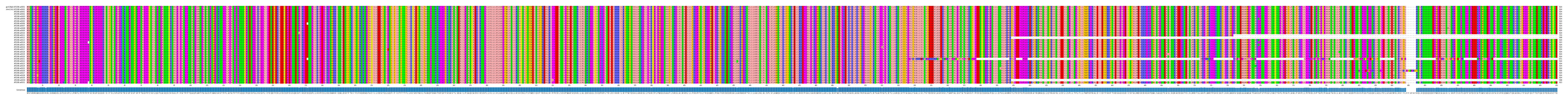Multiple Alignments (by translate haplotype frequency)