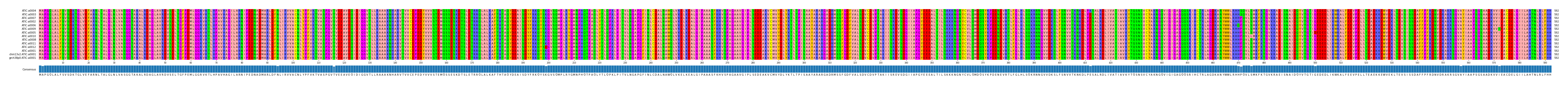 Multiple Alignments (by translate haplotype similarity)