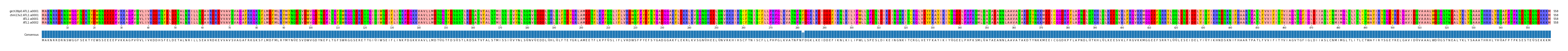 Multiple Alignments (by translate haplotype similarity)