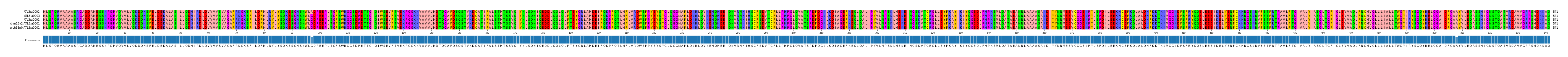 Multiple Alignments (by translate haplotype similarity)