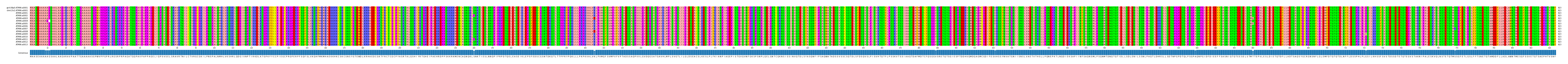 Multiple Alignments (by translate haplotype frequency)