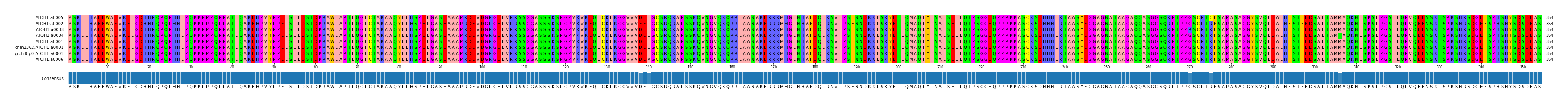 Multiple Alignments (by translate haplotype similarity)