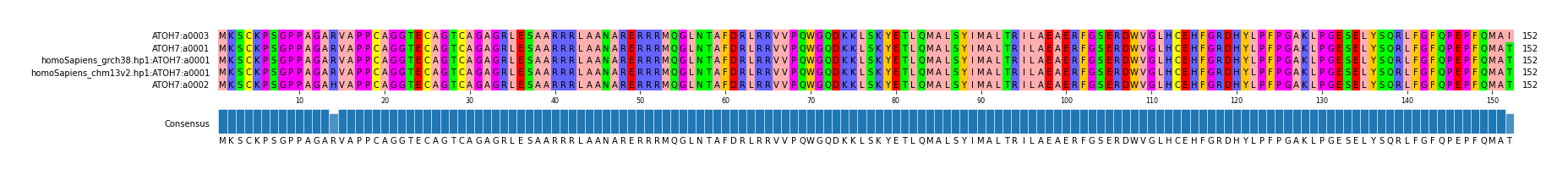 Multiple Alignments (by translate haplotype similarity)
