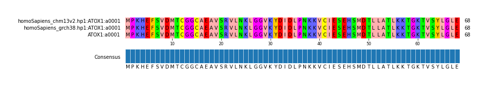 Multiple Alignments (by translate haplotype similarity)