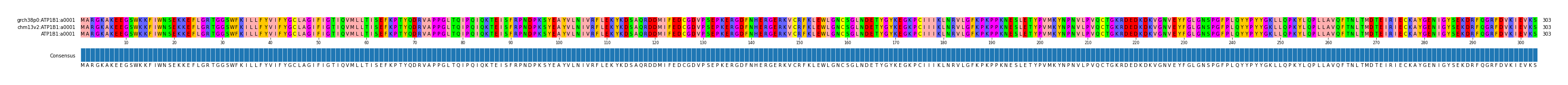 Multiple Alignments (by translate haplotype frequency)