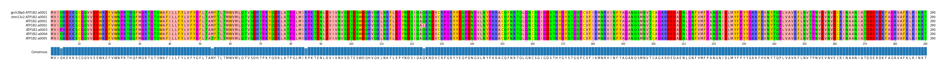 Multiple Alignments (by translate haplotype frequency)