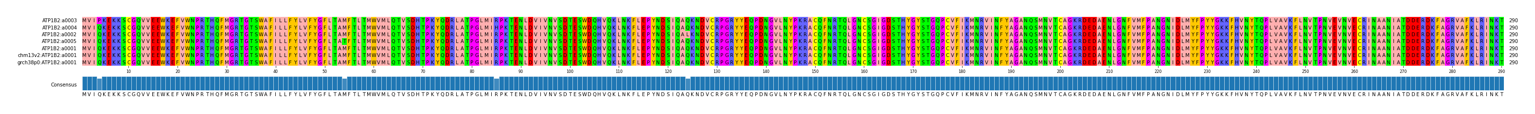 Multiple Alignments (by translate haplotype similarity)