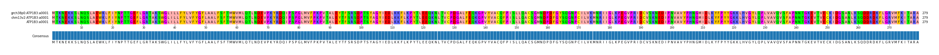 Multiple Alignments (by translate haplotype similarity)