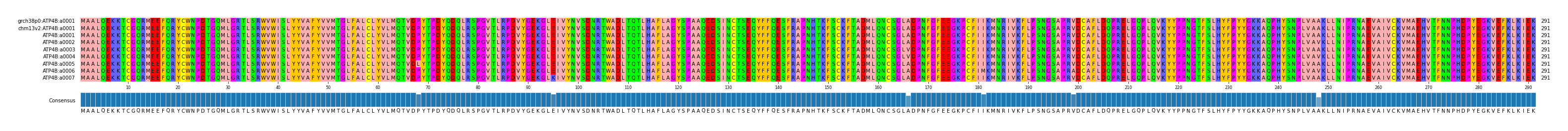 Multiple Alignments (by translate haplotype frequency)