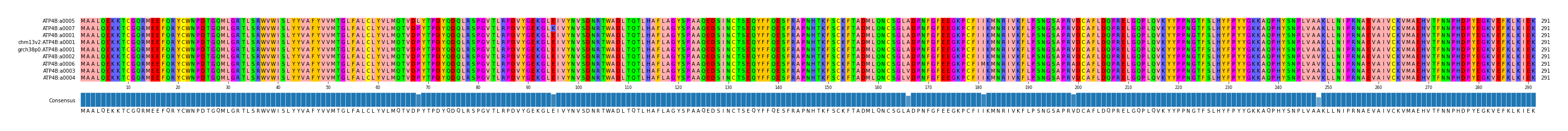 Multiple Alignments (by translate haplotype similarity)