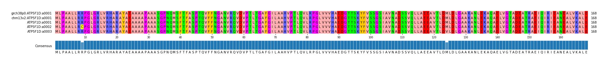 Multiple Alignments (by translate haplotype frequency)