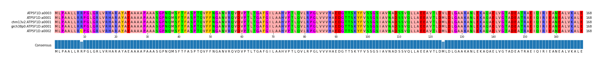 Multiple Alignments (by translate haplotype similarity)