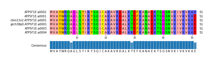 Multiple Alignments (by translate haplotype similarity)