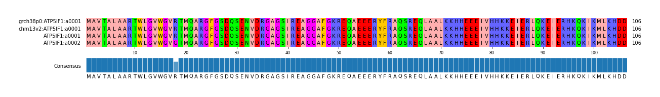 Multiple Alignments (by translate haplotype similarity)