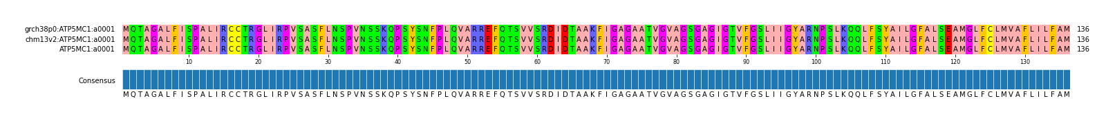 Multiple Alignments (by translate haplotype similarity)