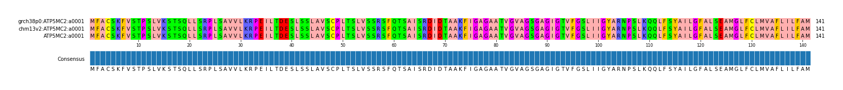 Multiple Alignments (by translate haplotype similarity)