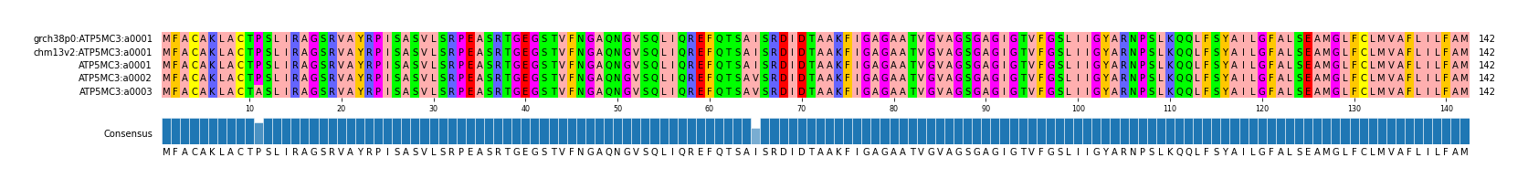Multiple Alignments (by translate haplotype similarity)