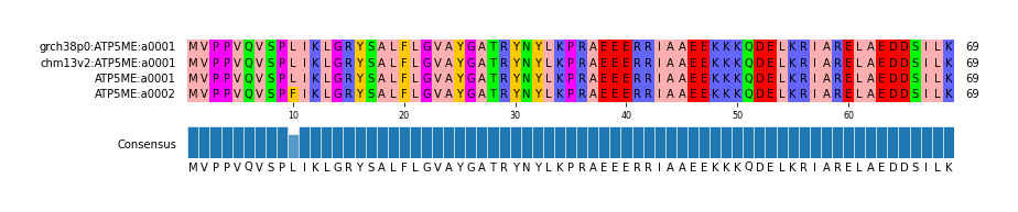 Multiple Alignments (by translate haplotype similarity)