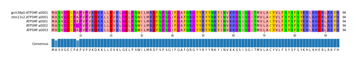 Multiple Alignments (by translate haplotype frequency)