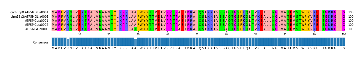 Multiple Alignments (by translate haplotype frequency)