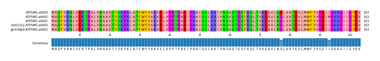 Multiple Alignments (by translate haplotype similarity)