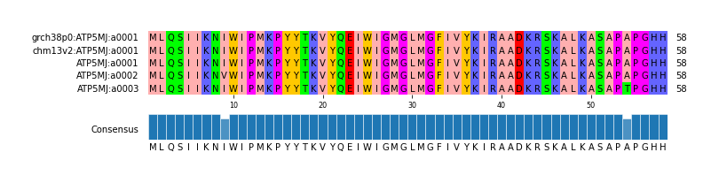 Multiple Alignments (by translate haplotype frequency)