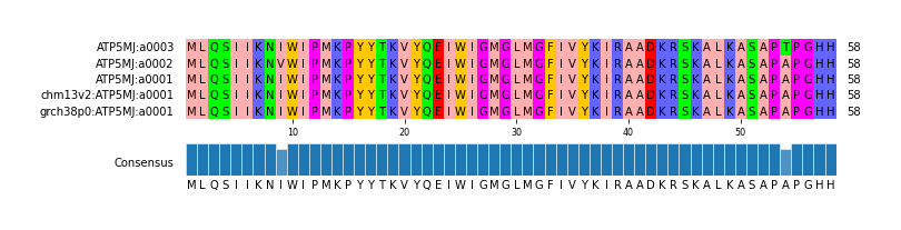 Multiple Alignments (by translate haplotype similarity)