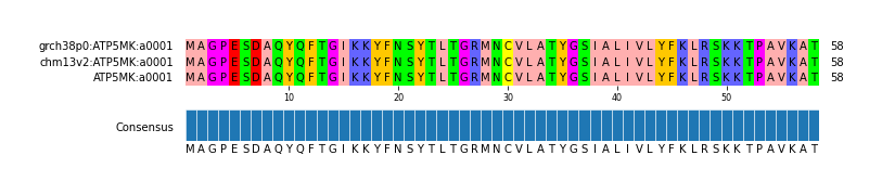 Multiple Alignments (by translate haplotype similarity)