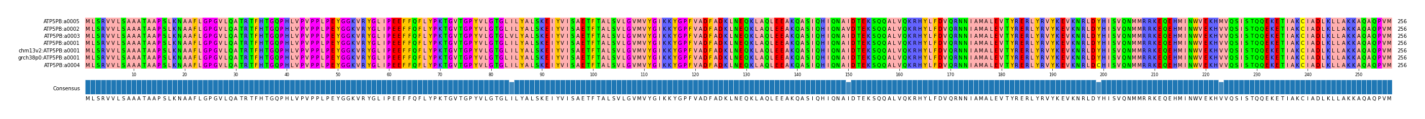Multiple Alignments (by translate haplotype similarity)
