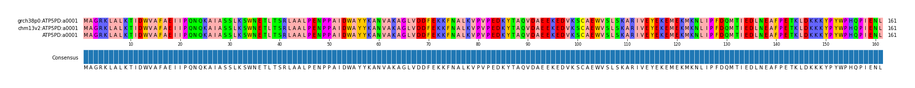 Multiple Alignments (by translate haplotype similarity)