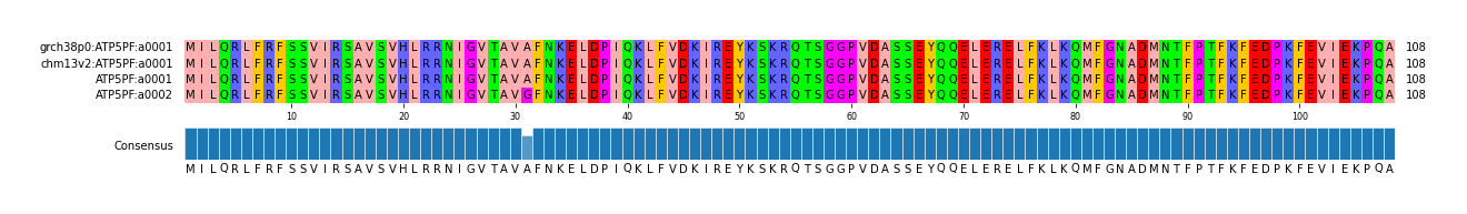 Multiple Alignments (by translate haplotype similarity)