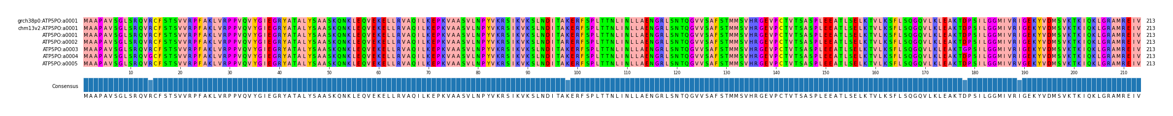 Multiple Alignments (by translate haplotype frequency)