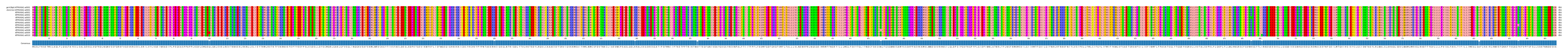 Multiple Alignments (by translate haplotype frequency)