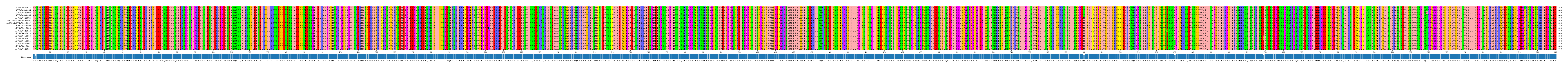 Multiple Alignments (by translate haplotype similarity)