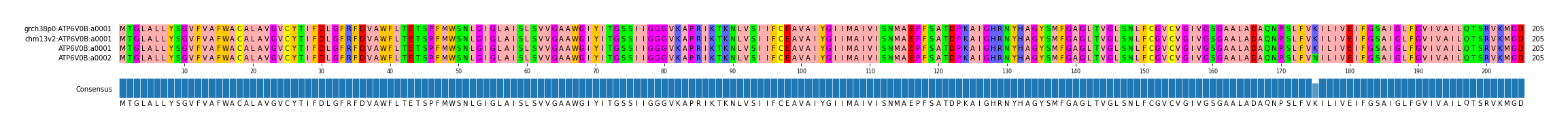 Multiple Alignments (by translate haplotype similarity)