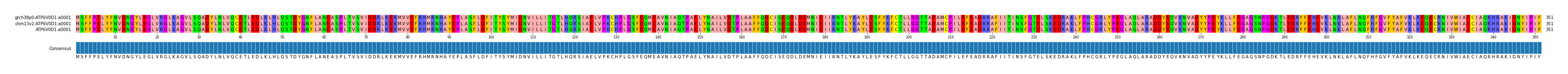 Multiple Alignments (by translate haplotype similarity)